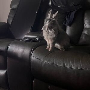 Meet your Posher, Virgen